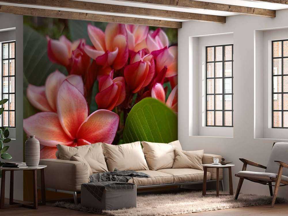 Tropische Blumen