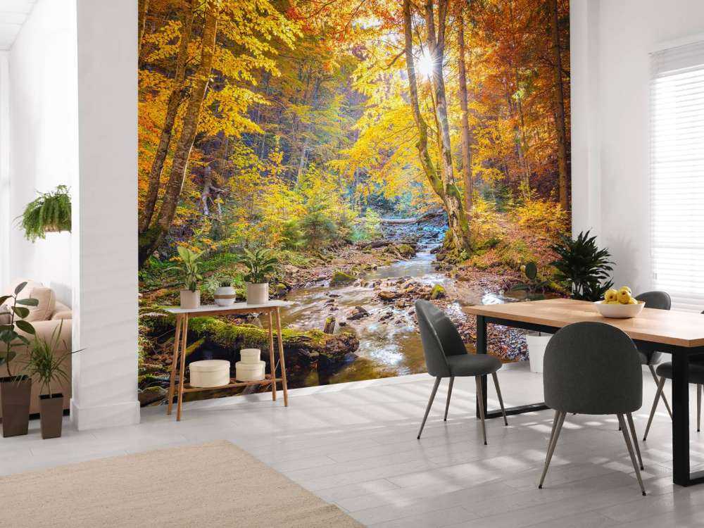 Herbst im wilden Wald