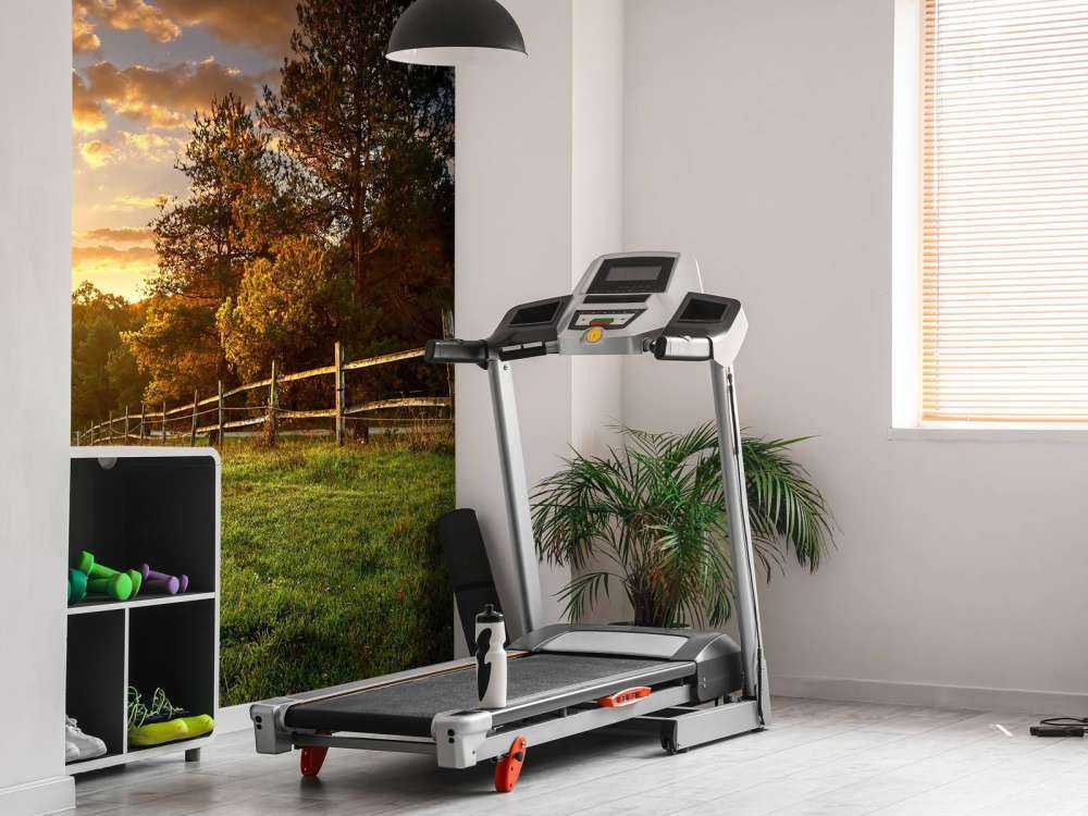 Weide mit Sonnenuntergang