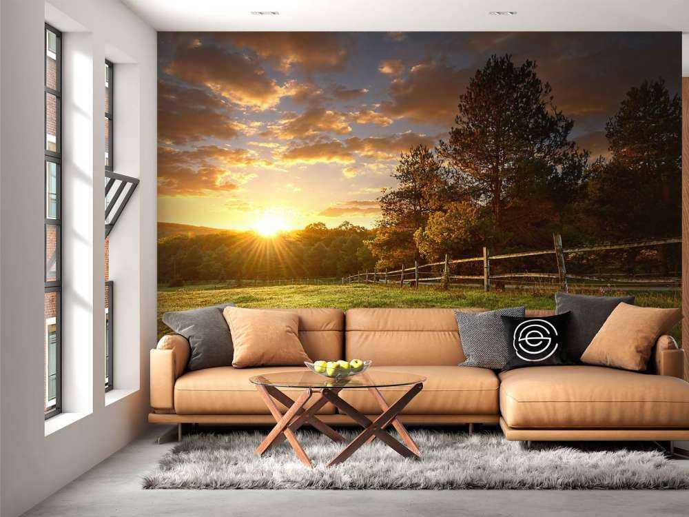 Weide mit Sonnenuntergang