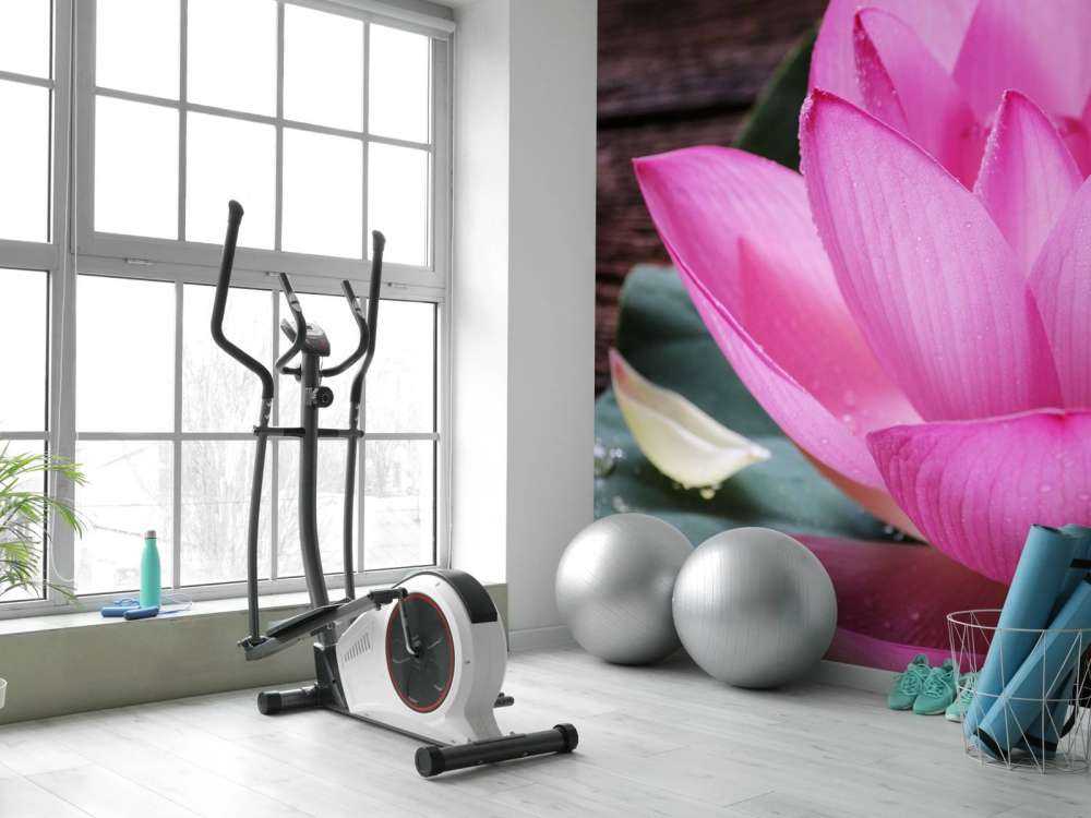 Nahaufnahme von rosa Lotus