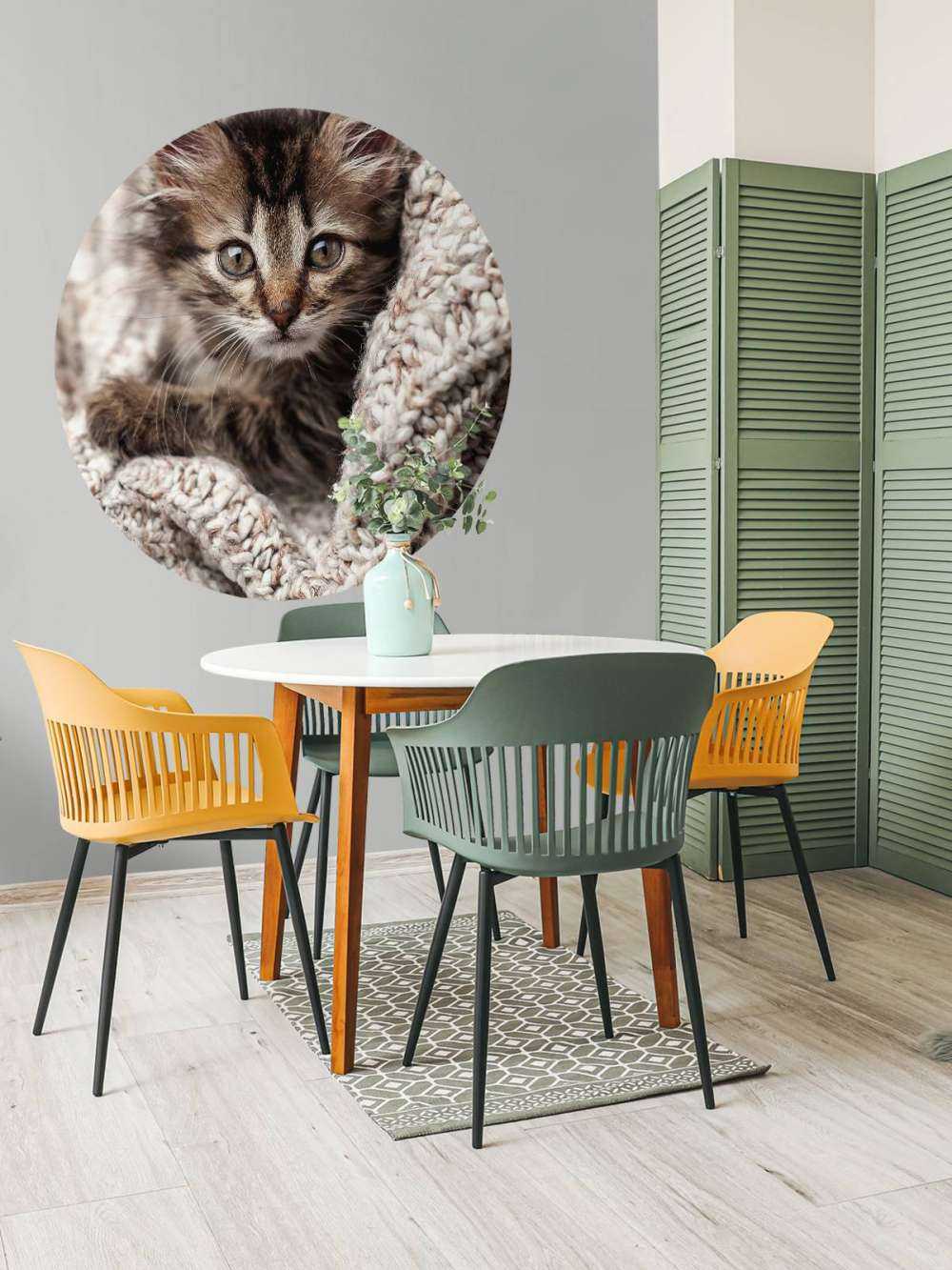 Katze in einer Decke