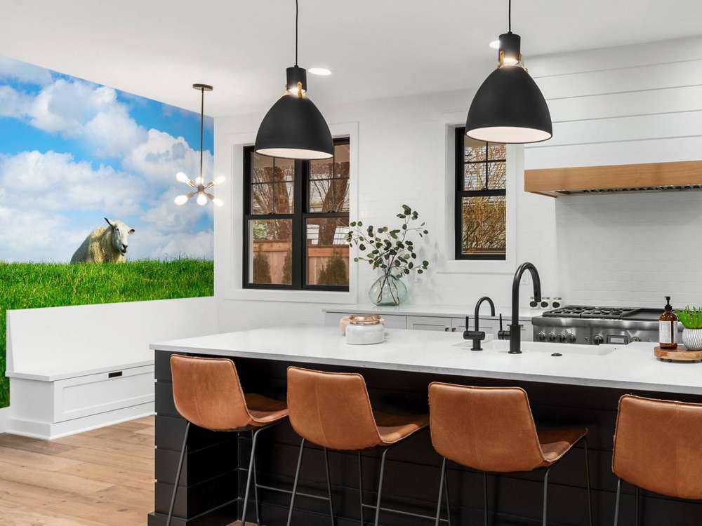 Schafe auf dem Deich