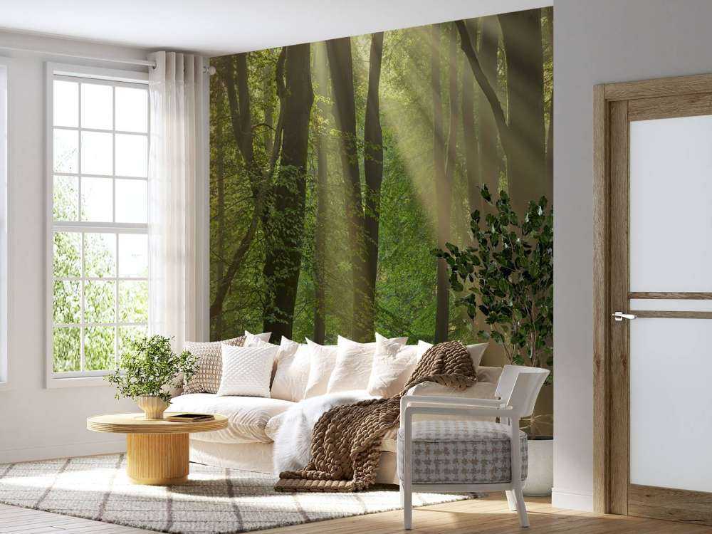 Sonnenharfen im Wald