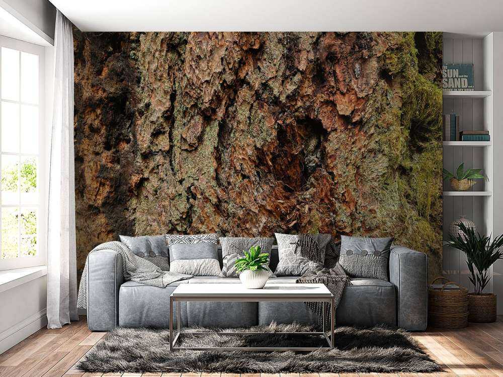 Baumrinde alter Baum 