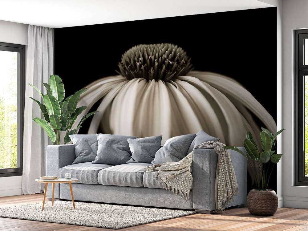 Zapfenblume Nahaufnahme