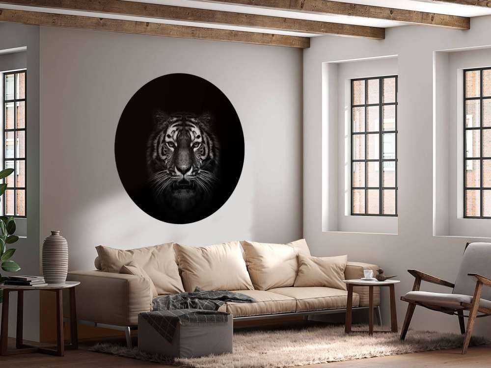 Dark Tiger