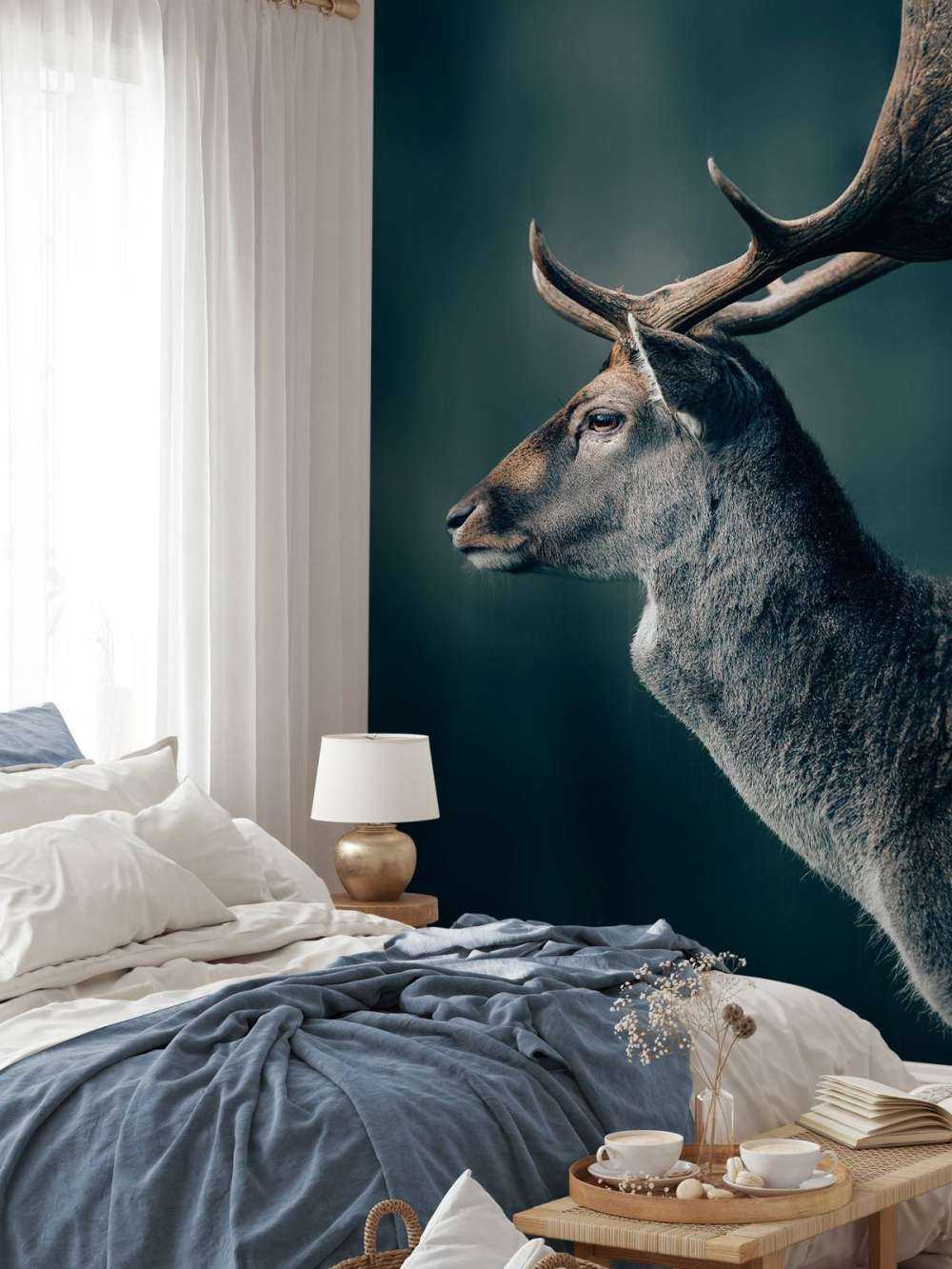 Damhirsch Nahaufnahme