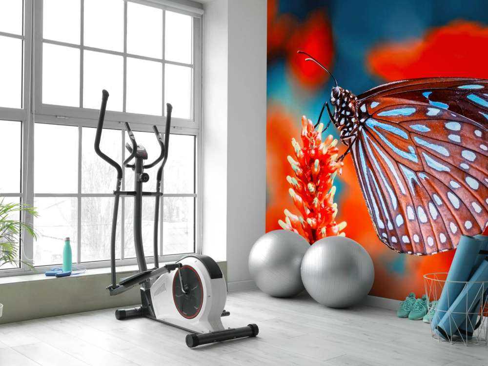 Roter Schmetterling
