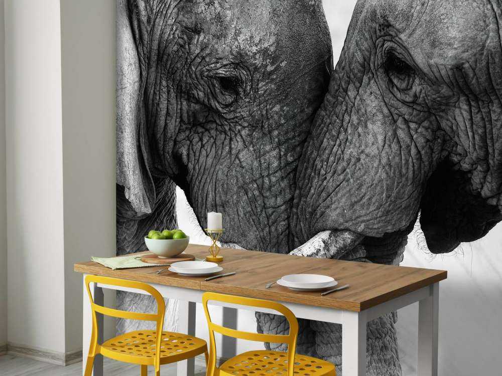 Fototapete Elefanten