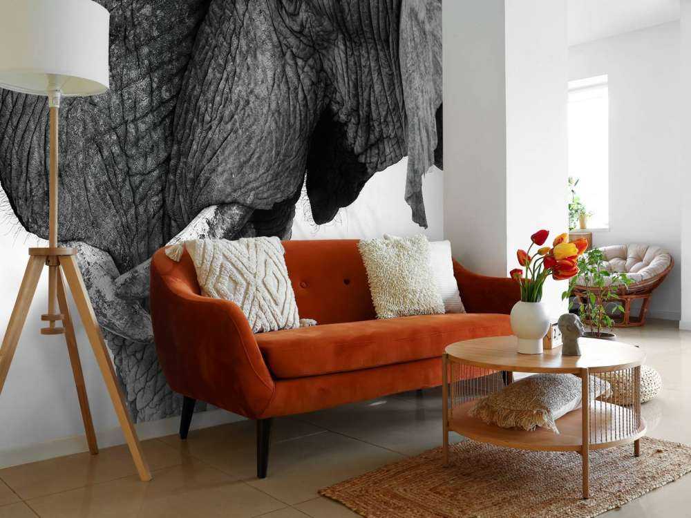 Fototapete Elefanten