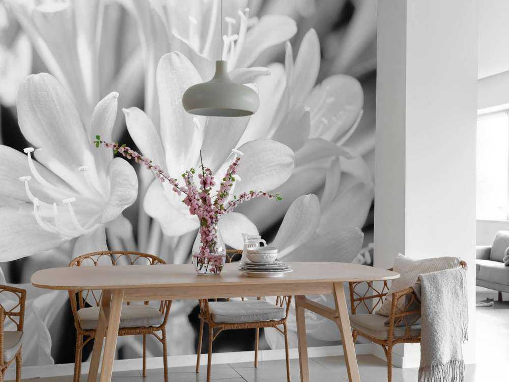 Blühende Blumen, schwarz und weiß