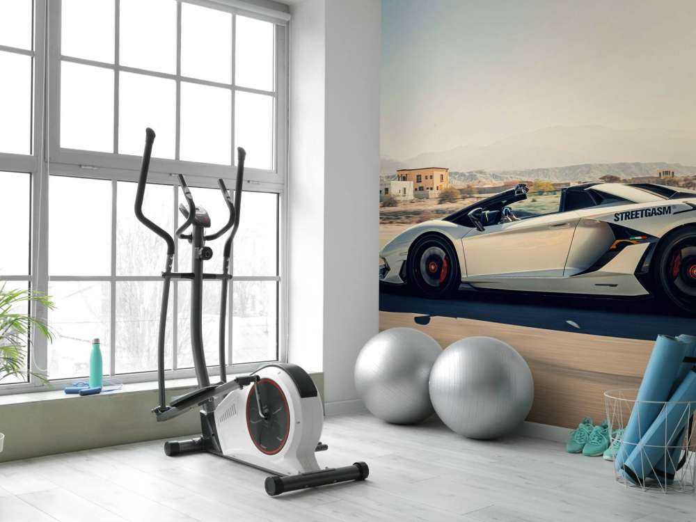 Lamborghini Aventador Roadster in der Wüste