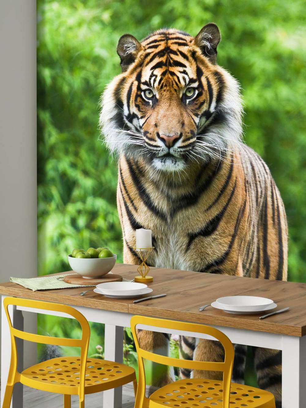 Tiger auf einem Stein