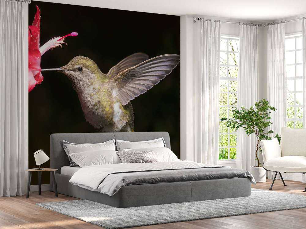 Kolibri mit roter Blume