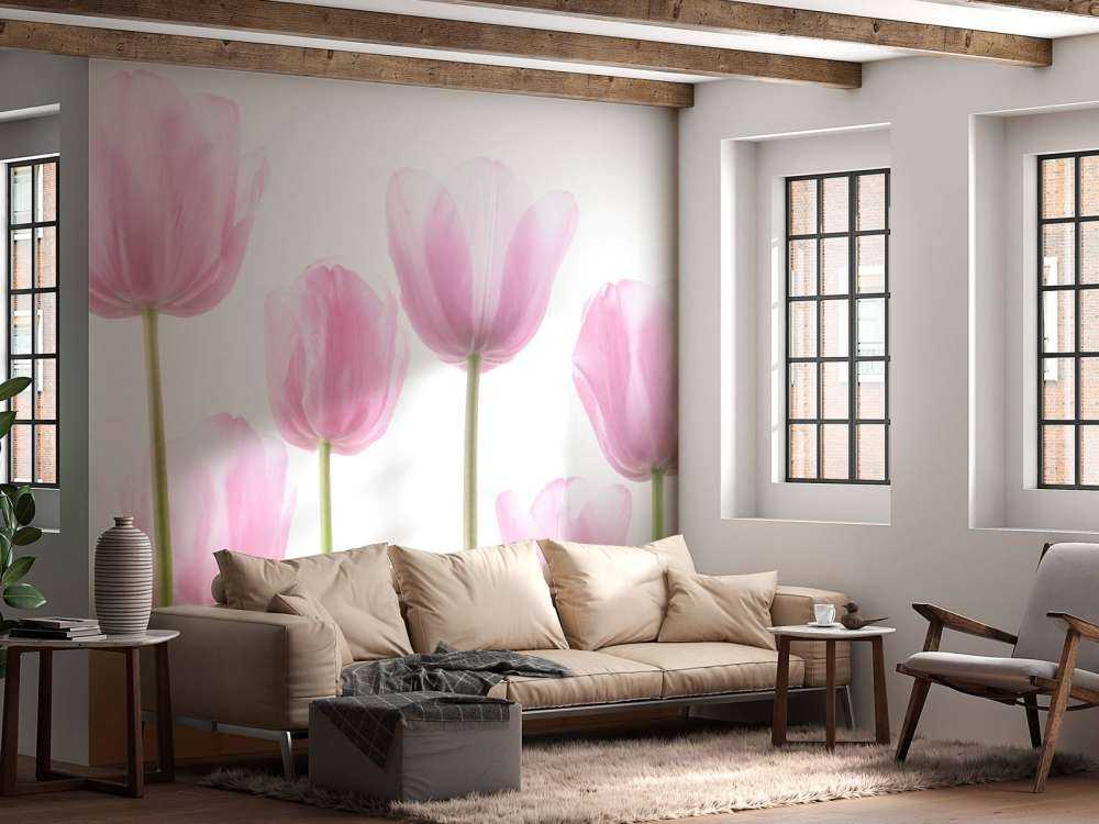 Rosa Tulpen