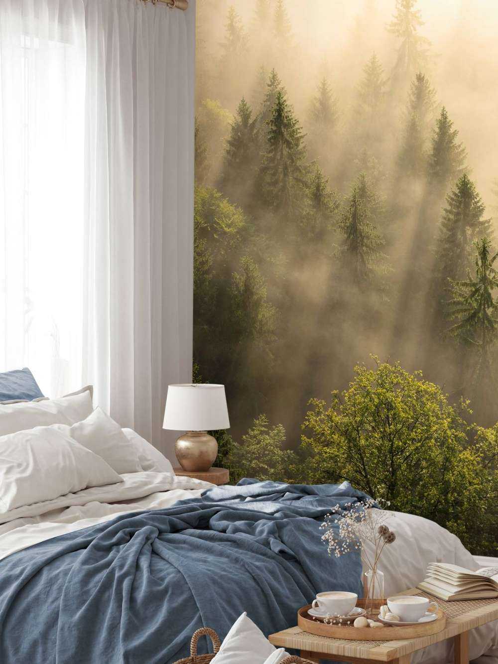 Nebel zwischen den Kiefern