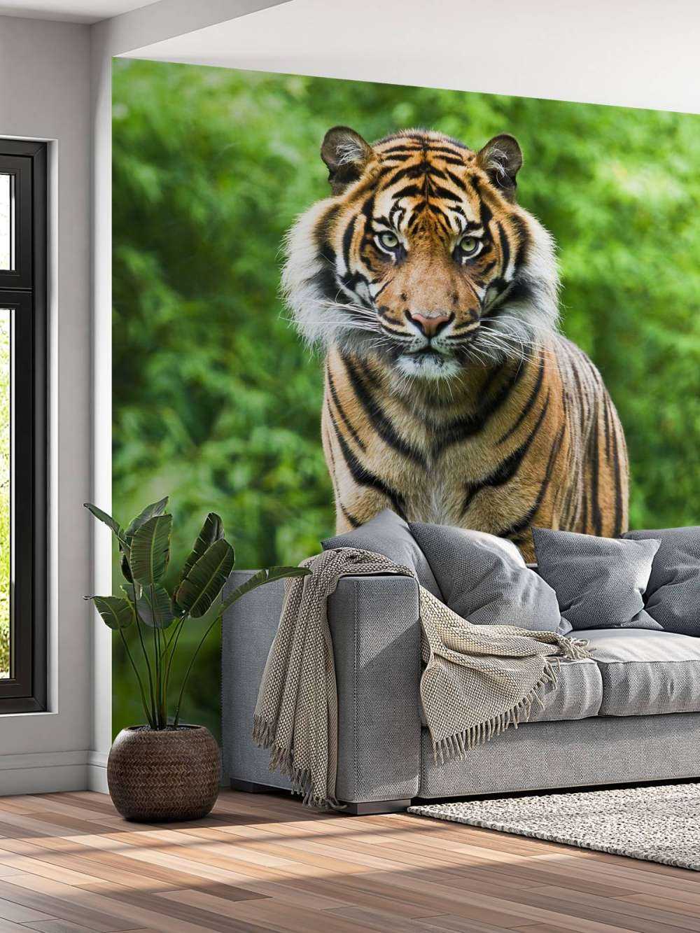 Tiger auf einem Stein
