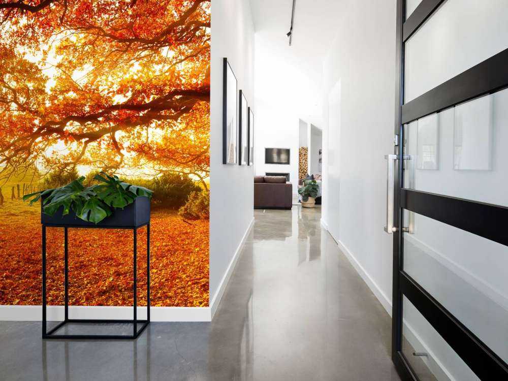 Herbstlandschaft mit Wald und Wiese