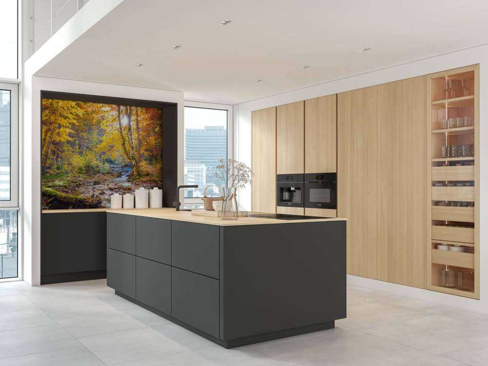 Herbst im wilden Wald