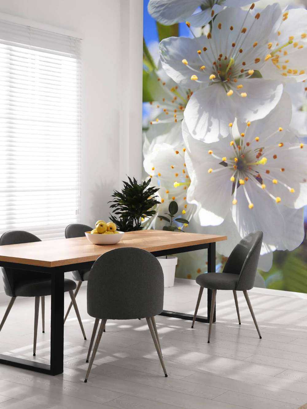 Nahaufnahme weiße Blüten