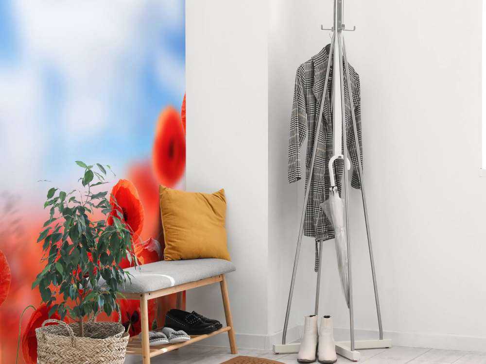 Blauer Himmel und rote Mohnblumen