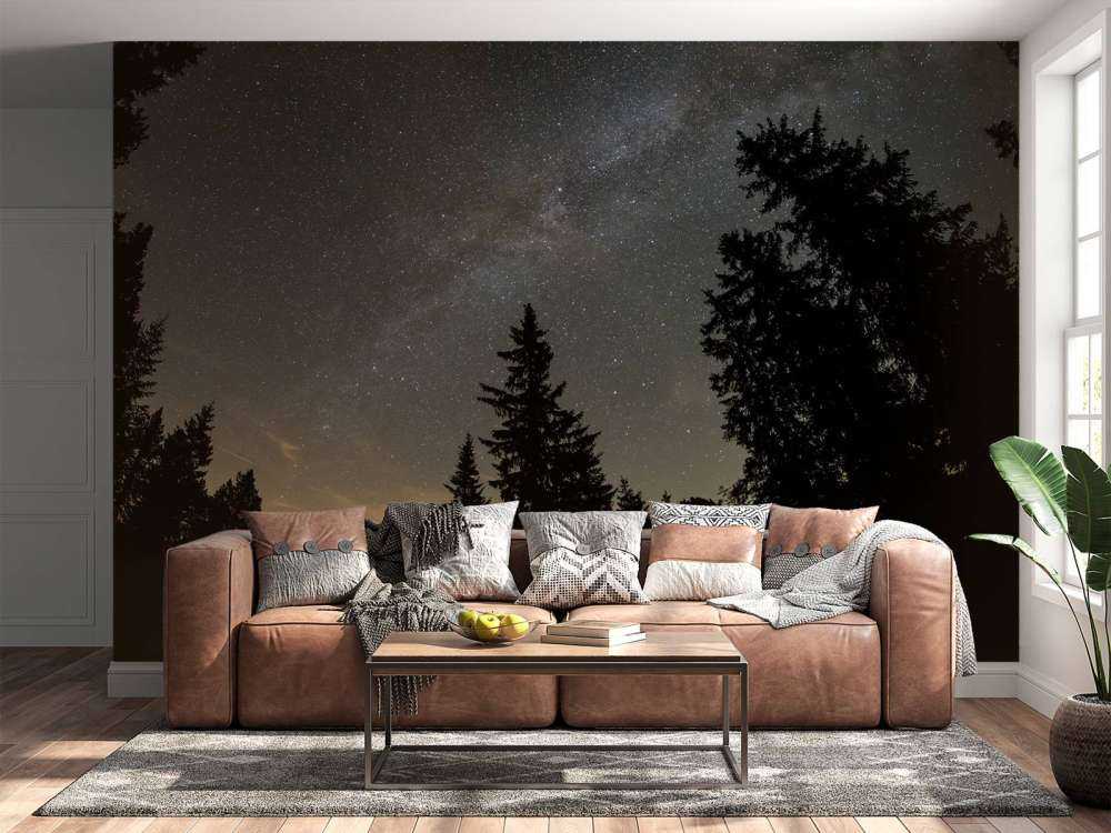 Sternenklare Nacht