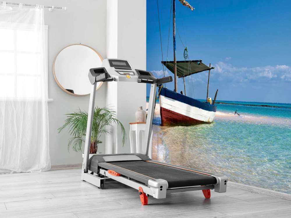 Altes Boot
