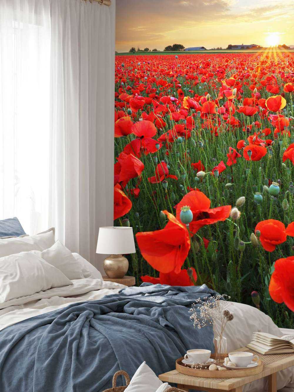 Mohnblumen bei Sonnenuntergang