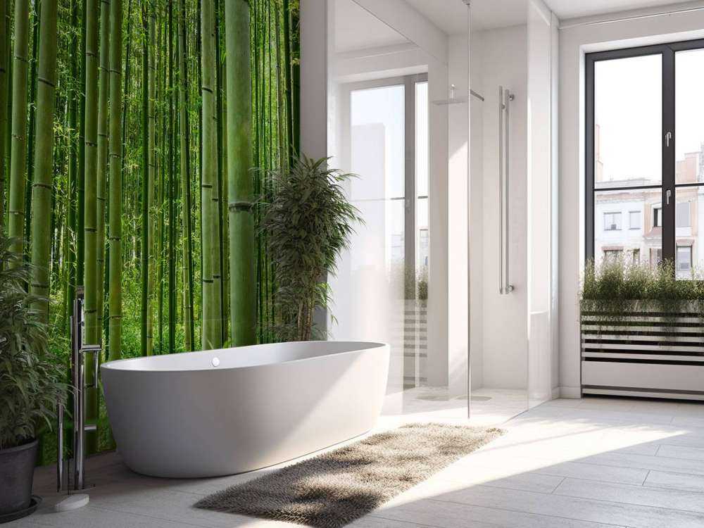 Inmitten des Bambuswaldes