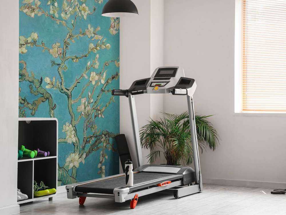 Mandelblüte (Van Gogh)