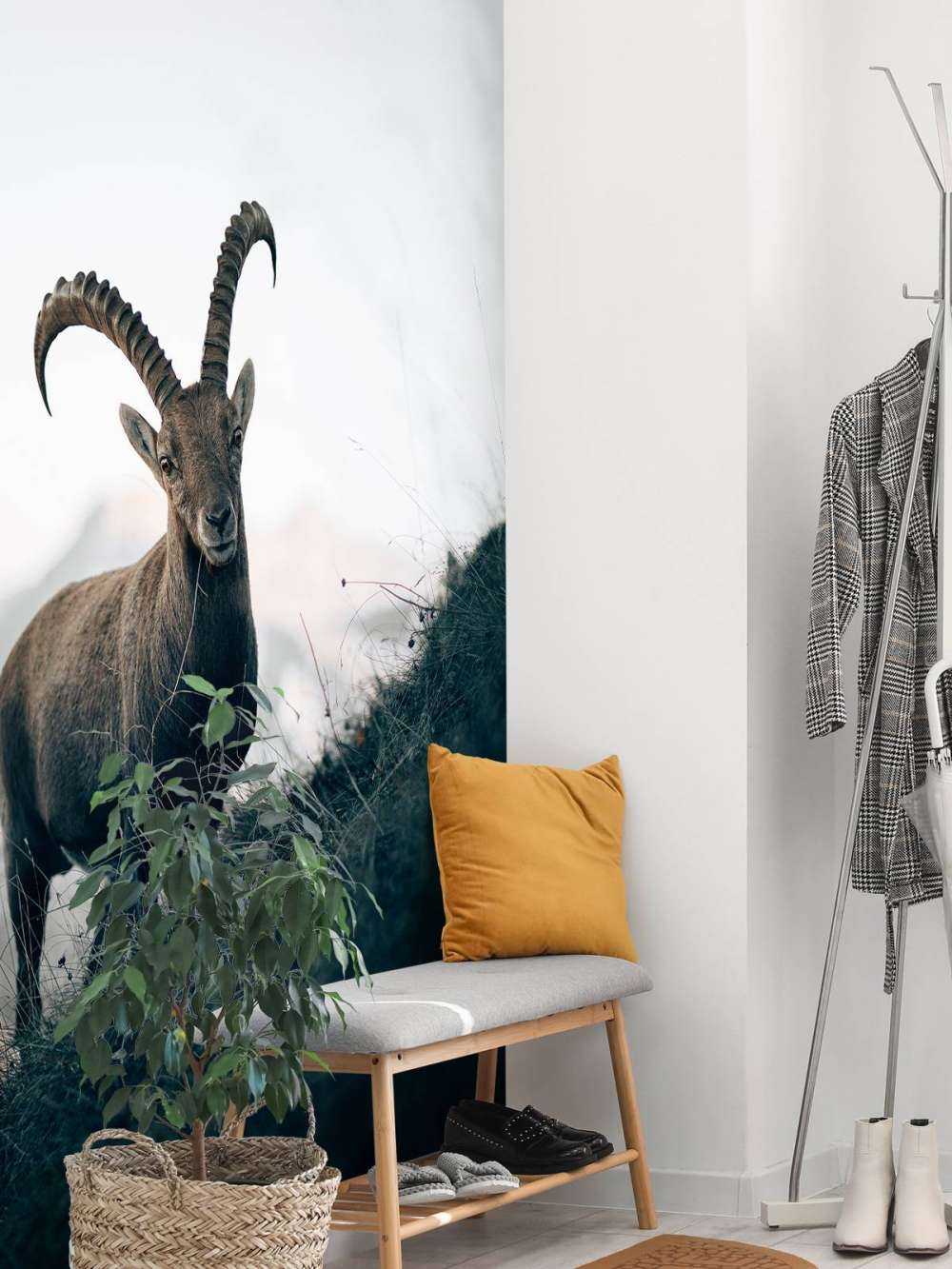 Steinbock in den Bergen