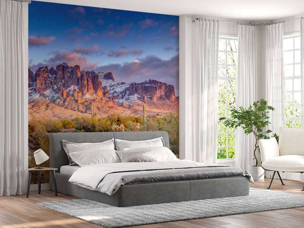 Kakteen und Berge