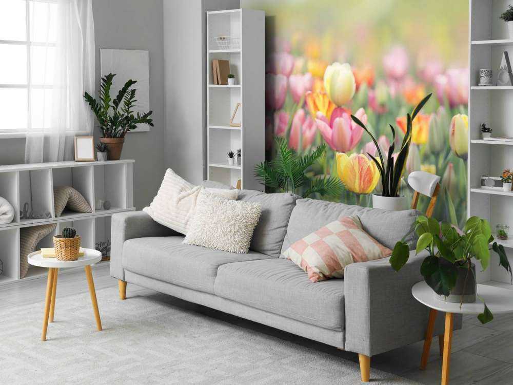 Bunte Tulpen