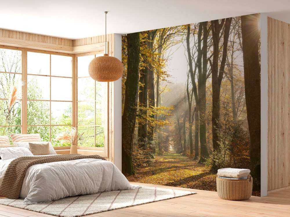 Wald von Crécy