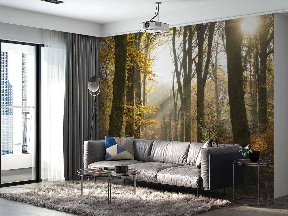 Wald von Crécy