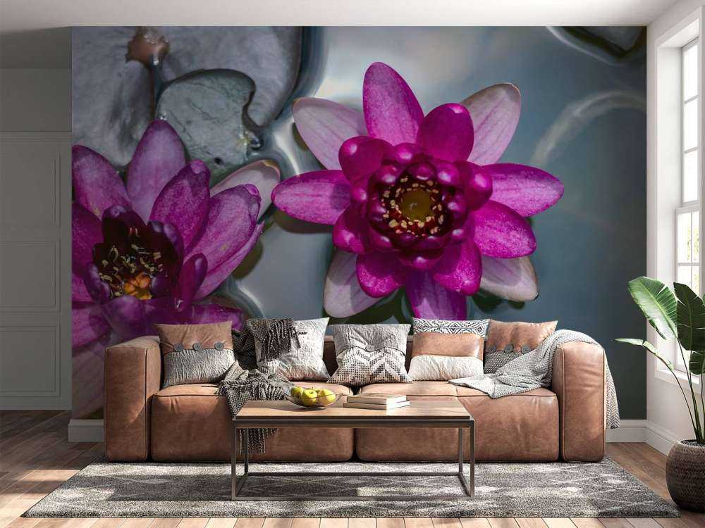 Rosa Lotosblume im Wasser