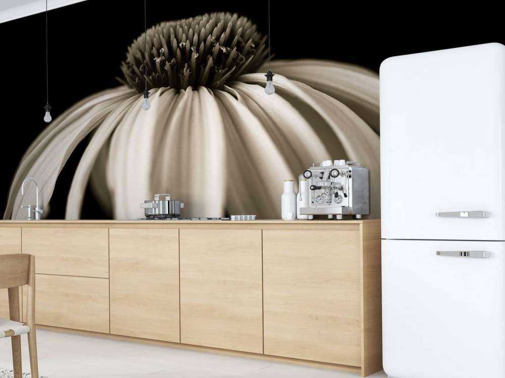 Zapfenblume Nahaufnahme