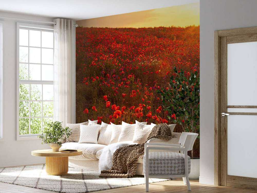 Mohnblumen auf einem Hügel