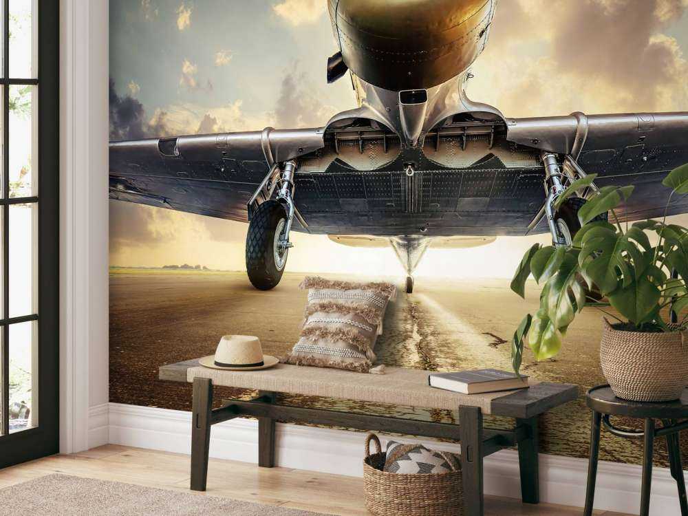 Historisches Flugzeug