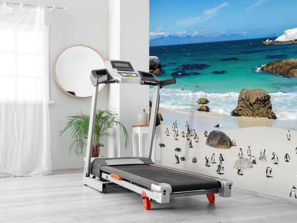 Strand mit Pinguinen