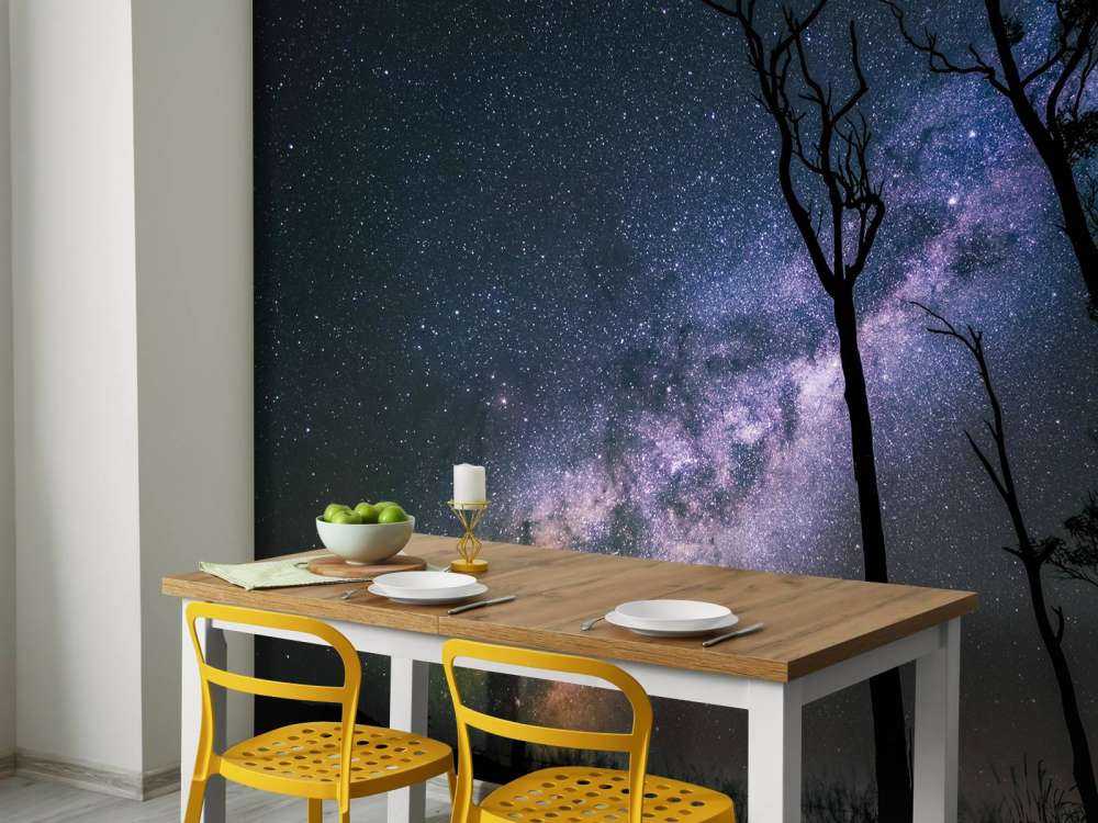 Sterne zwischen den Bäumen