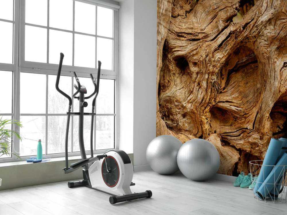 Nahaufnahme alter Baum