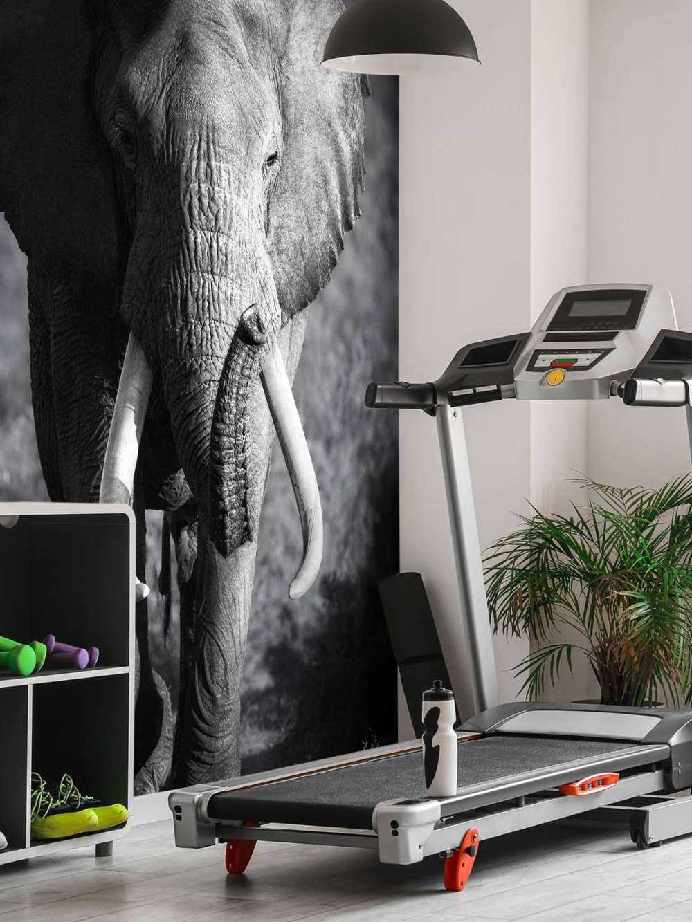 Afrikanischer Elefant
