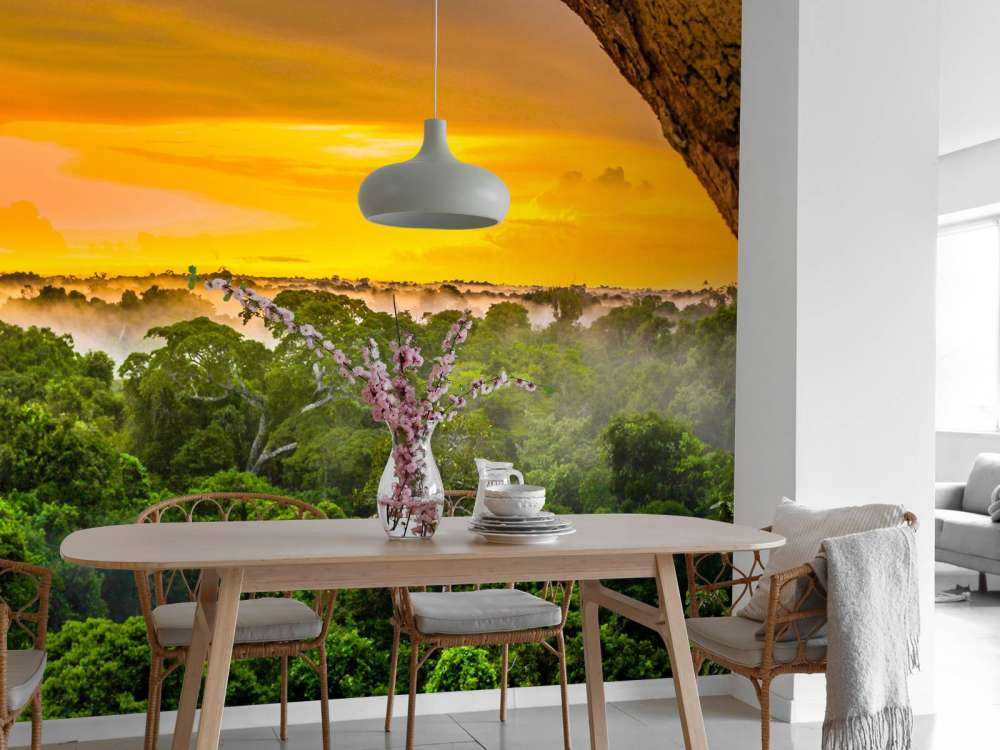 Regenwald Brasilien