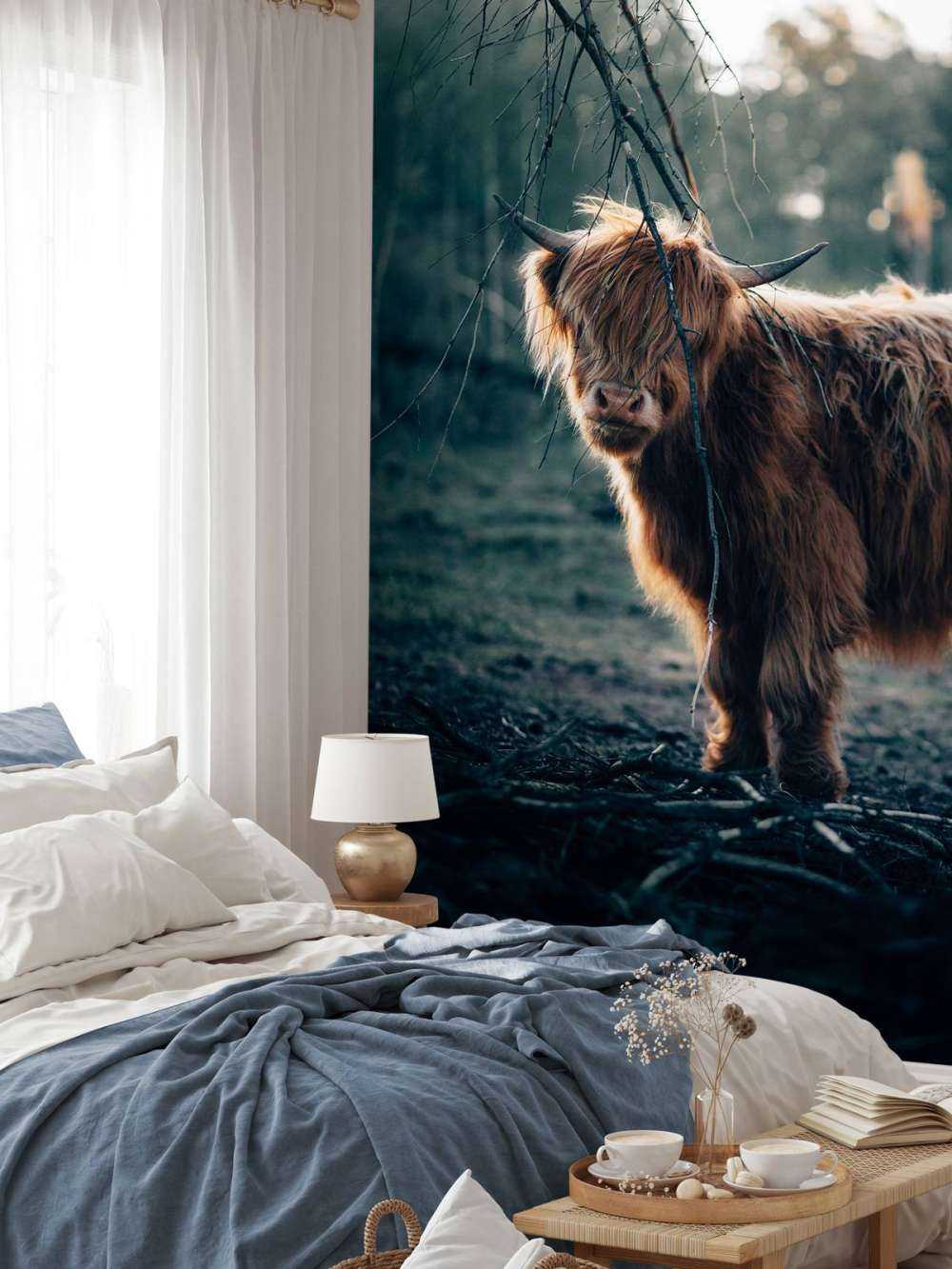 Schottischer Highlander am Waldrand