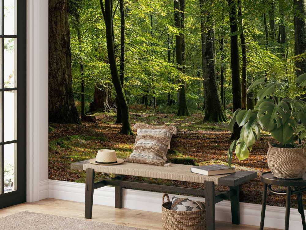 Waldspaziergang