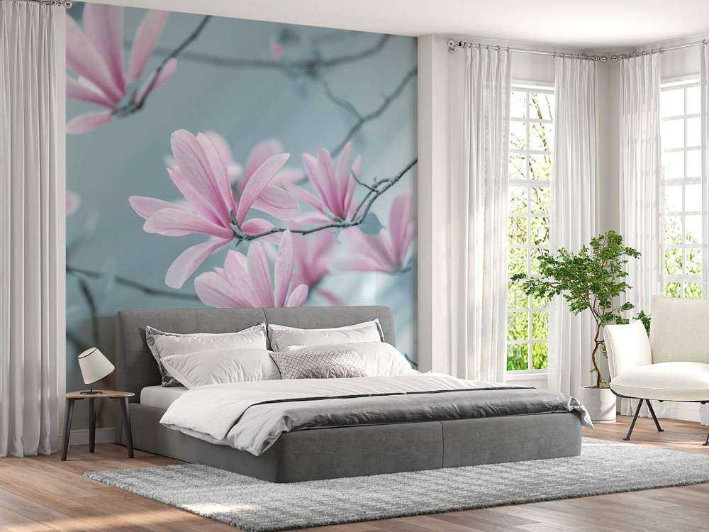 Magnolien Blumen