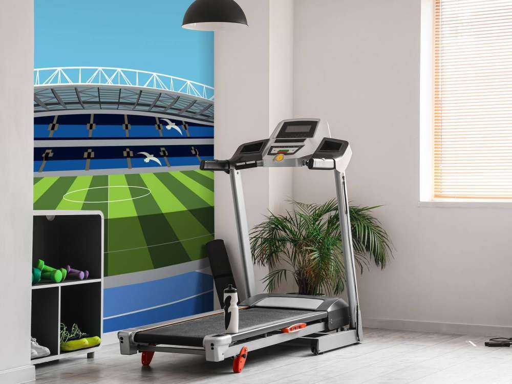 American Express Gemeinschaftsstadion - Brighton & Hove Albion