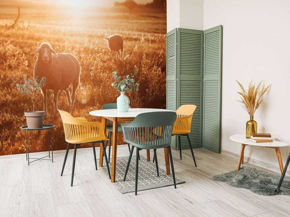 Schafe auf einer schönen Weide